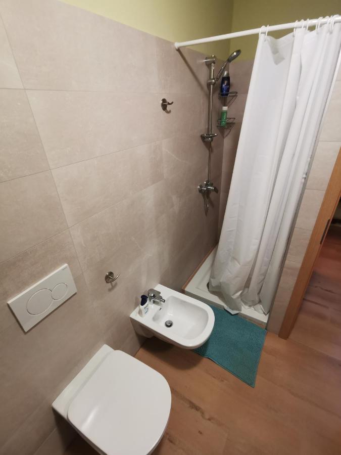 Apartma Baladur Appartement Brezovica pri Gradinu Buitenkant foto