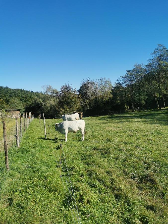 Apartma Baladur Appartement Brezovica pri Gradinu Buitenkant foto