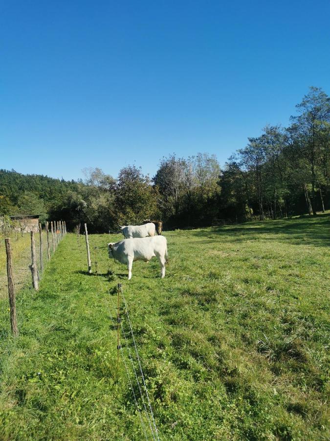 Apartma Baladur Brezovica pri Gradinu Buitenkant foto