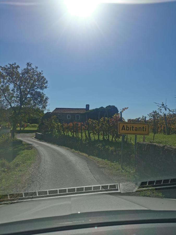 Apartma Baladur Brezovica pri Gradinu Buitenkant foto